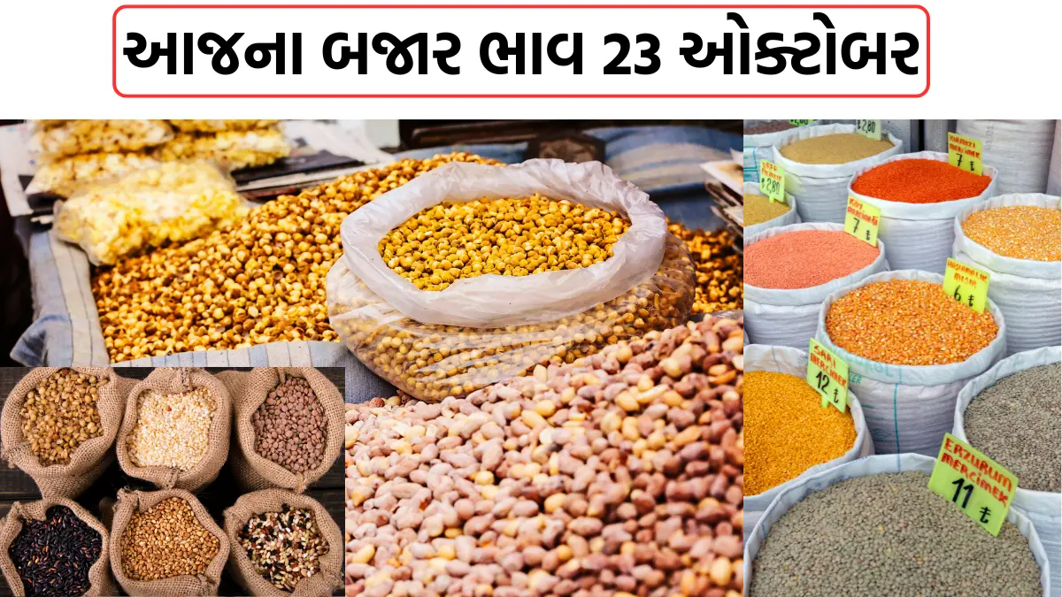 Unjha market Jeera price 20kg today